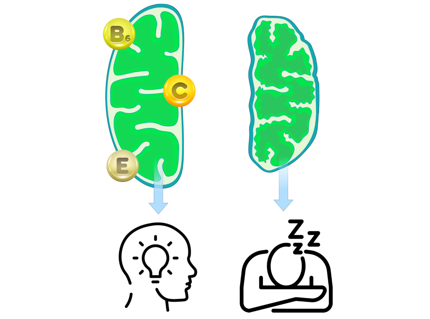 a group of stickers with different colored circles and text
